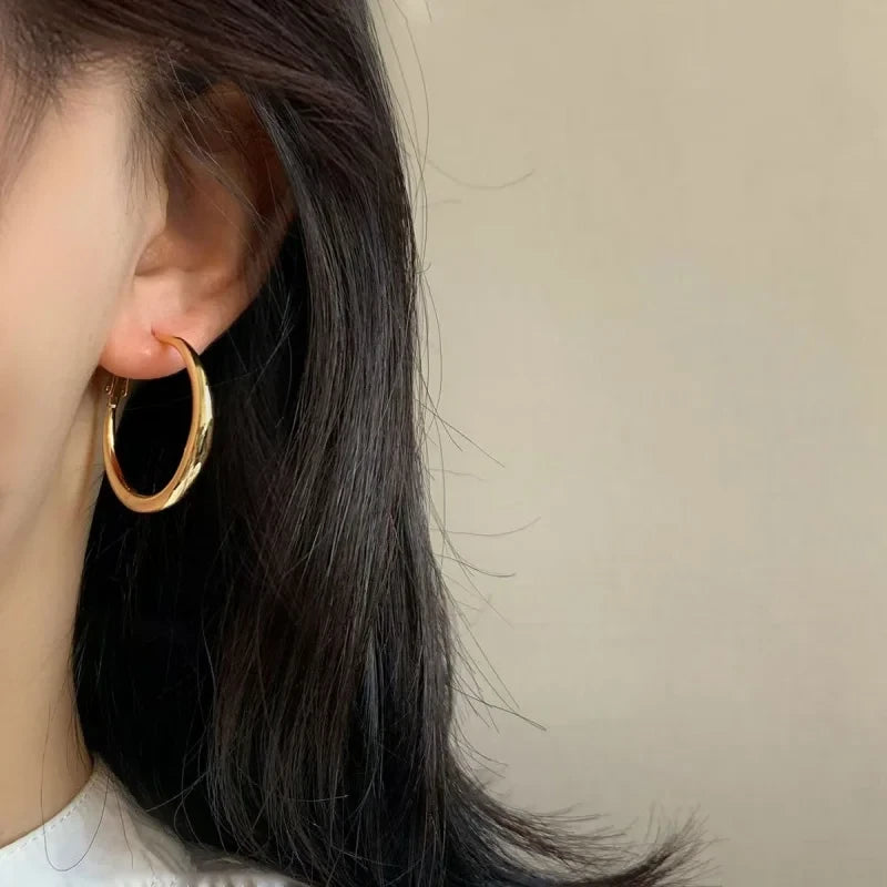 Stainless Steel Big Circle Hoop Earrings