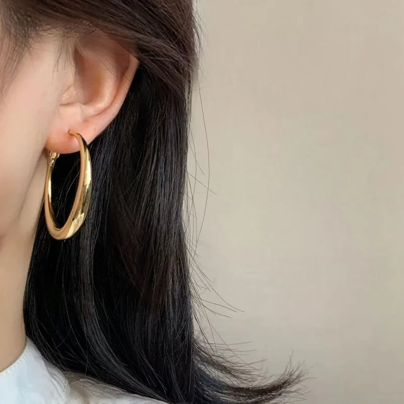 Stainless Steel Big Circle Hoop Earrings